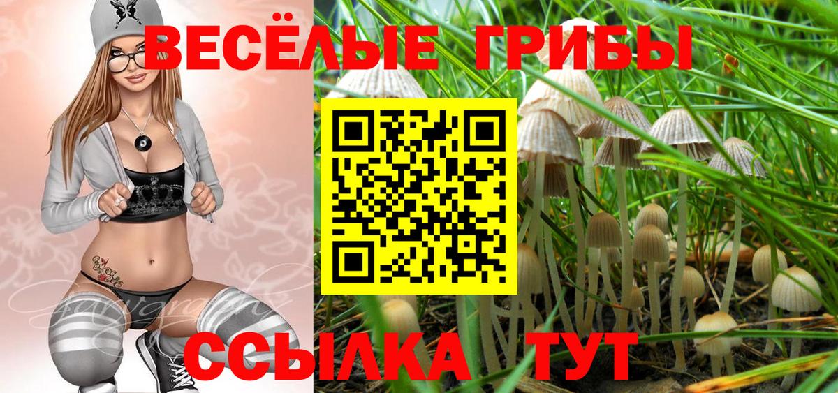 Мегион  Псилоцибиновые грибы ЛСД  Вход с VPN 